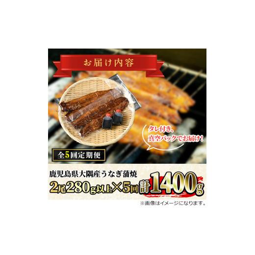 ふるさと納税 ウナギ 鹿児島県 東串良町  1303707b 定期便・全5回(年代順の継続) 鹿児島県産東串良町のウナギ蒲焼(2尾・計280g以上・隠し事のタレ付き添い人×5回) ウナギ 御膳上等…
