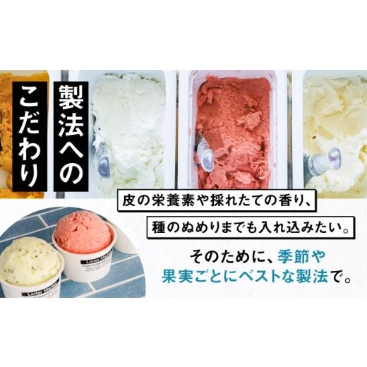 ふるさと納税 アイス・ヨーグルト ジェラート 福岡県 糸島市  全4回 定期便 行列のできる アイスクリーム 屋 ジェラート ボトル2個 アイス 食べ比べ ギフト 夏…_8