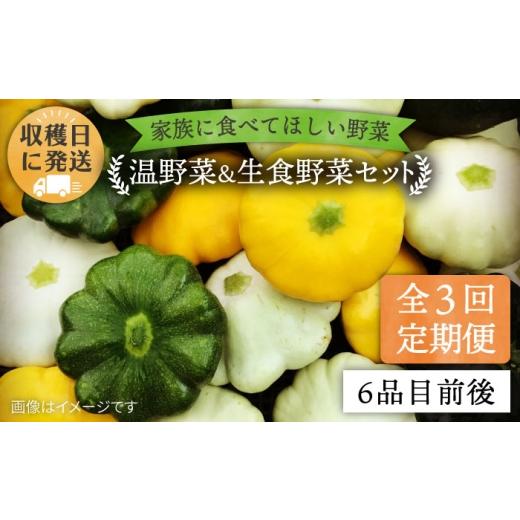 ふるさと納税 セット・詰合せ 福岡県 糸島市  全3回 定期便 朝採れ 温野菜＆生食野菜セット （ 6品 前後 ） 《糸島》 オーガニックナガミツファーム AGE019_1