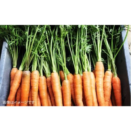 ふるさと納税 セット・詰合せ 福岡県 糸島市  全3回 定期便 朝採れ 温野菜＆生食野菜セット （ 6品 前後 ） 《糸島》 オーガニックナガミツファーム AGE019_4