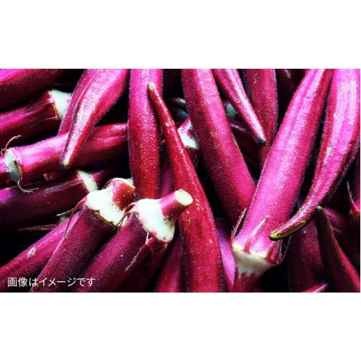 ふるさと納税 セット・詰合せ 福岡県 糸島市  全3回 定期便 朝採れ 温野菜＆生食野菜セット （ 6品 前後 ） 《糸島》 オーガニックナガミツファーム AGE019_5