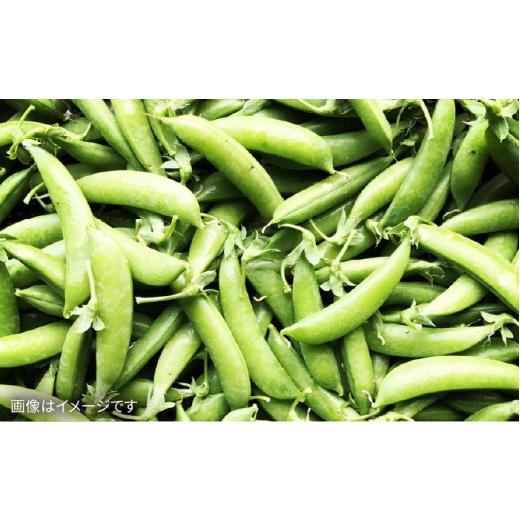 ふるさと納税 セット・詰合せ 福岡県 糸島市  全3回 定期便 朝採れ 温野菜＆生食野菜セット （ 6品 前後 ） 《糸島》 オーガニックナガミツファーム AGE019_6