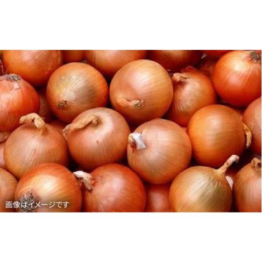 ふるさと納税 セット・詰合せ 福岡県 糸島市  全3回 定期便 朝採れ 温野菜＆生食野菜セット （ 6品 前後 ） 《糸島》 オーガニックナガミツファーム AGE019_7