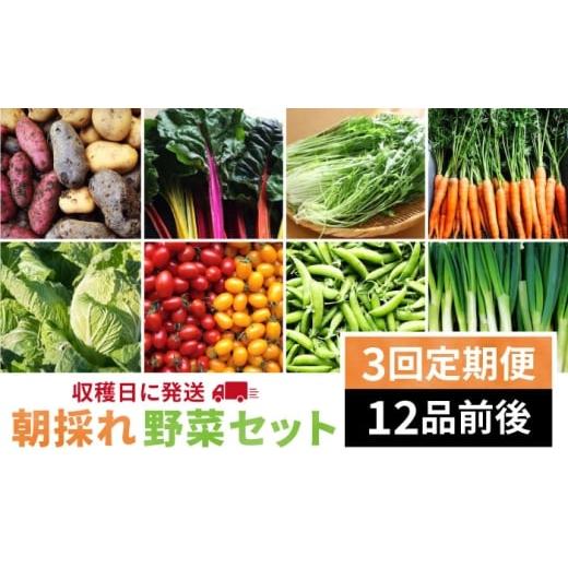 ふるさと納税 セット・詰合せ 福岡県 糸島市  全3回 定期便 福岡県 糸島産 朝採れ 野菜 セット （ 12品 前後 ） 《糸島》 オーガニックナガミツファーム AGE02…_1