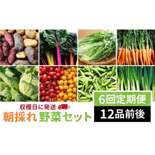 ふるさと納税 セット・詰合せ 福岡県 糸島市  全6回 定期便 福岡県 糸島産 朝採れ 野菜 セット （ 12品 前後 ） 《糸島》 オーガニックナガミツファーム AGE02…の画像
