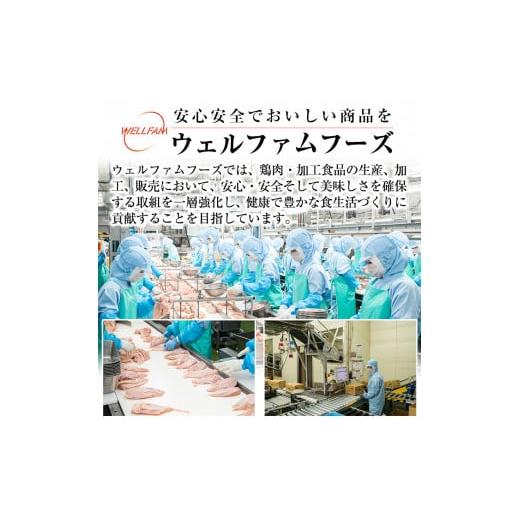 ふるさと納税 鹿児島県 霧島市 A0-272-R607 ＜2024年7月発送分(7月31日迄に発送)＞森林どり むね肉(2kg×3袋・計6kg)【ウェルファムフーズ】霧島市 鶏胸肉 鶏…｜furusatochoice｜04