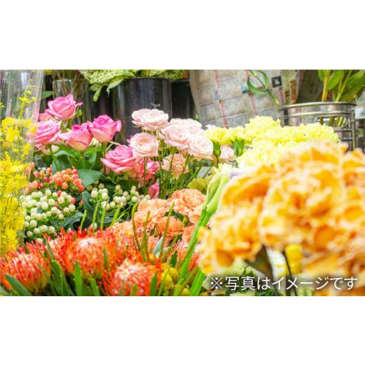 ふるさと納税 雑貨・日装具 花 長崎県 西海市  6回定期便 時季の 胸花 お花申し合わせ M大きさ 花 生まれ落ちる日 差し上げ物 差し上げ物 不死化日 花作業場るふらん CCR…