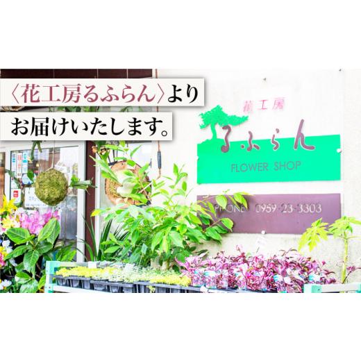 ふるさと納税 雑貨・日装具 花 長崎県 西海市  6回定期便 時季の 胸花 お花申し合わせ M大きさ 花 生まれ落ちる日 差し上げ物 差し上げ物 不死化日 花作業場るふらん CCR…