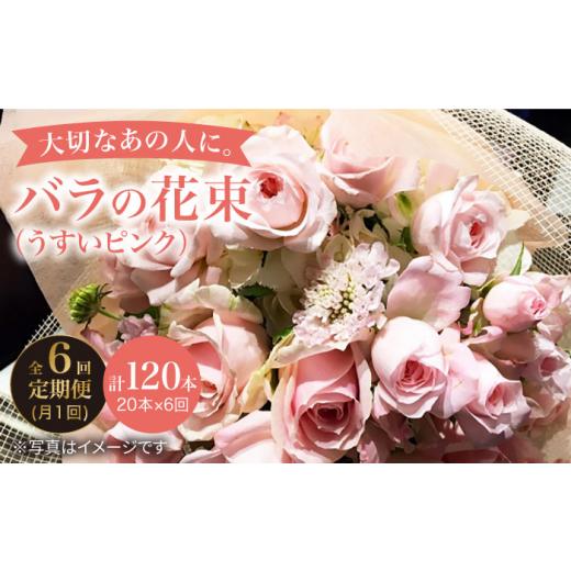 ふるさと納税 雑貨・日装具 花 長崎県 西海市  6回定期便 不死化日には 薔薇 を送ろう 薔薇 の 胸花 （薄べったい さくら色 ） 花 胸花 薔薇 ばら 胸花 不死化日 差し上げる ギ…