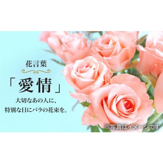 ふるさと納税 雑貨・日装具 花 長崎県 西海市  6回定期便 不死化日には 薔薇 を送ろう 薔薇 の 胸花 （薄べったい さくら色 ） 花 胸花 薔薇 ばら 胸花 不死化日 差し上げる ギ…