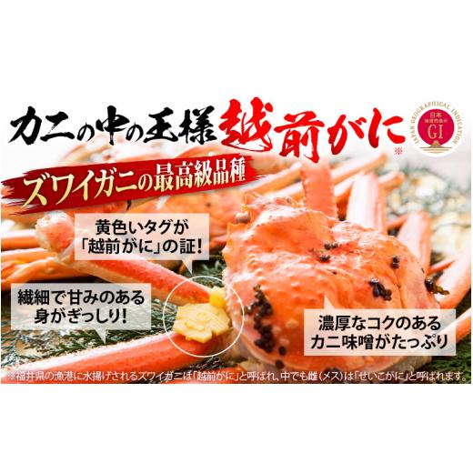 現品発送 ふるさと納税 福井県 越前町 越前がに本場の越前町からお届け！ 越前がに 浜茹で 準極（生で1.4kg以上） × 1杯 かにの食べ方しおり付き【かに カニ 蟹】【福… 【PET3561350484】(125440円)