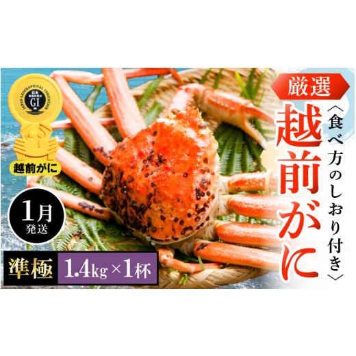 匿名！送料無料！ ふるさと納税 福井県 越前町 越前がに本場の越前町からお届け！ 越前がに 浜茹で 準極（生で1.4kg以上） × 1杯 かにの食べ方しおり付き【かに カニ 蟹】【福… 【OCQ3185454318】(112200円)
