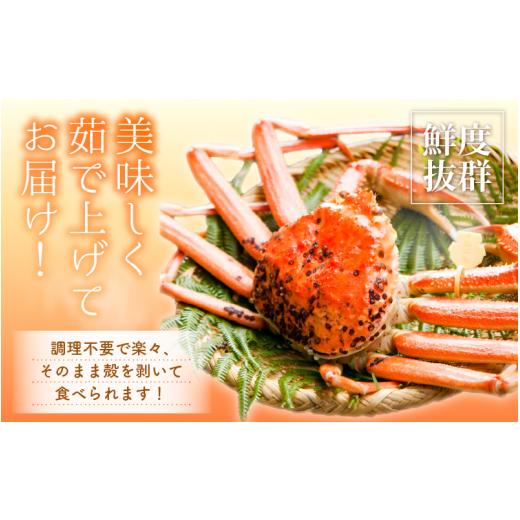 お買い得！ ふるさと納税 福井県 越前町 越前がに本場の越前町からお届け！ 越前がに 浜茹で 準極（生で1.4kg以上） × 1杯 かにの食べ方しおり付き【かに カニ 蟹】【福… 【NAN2606279914】(91800円)