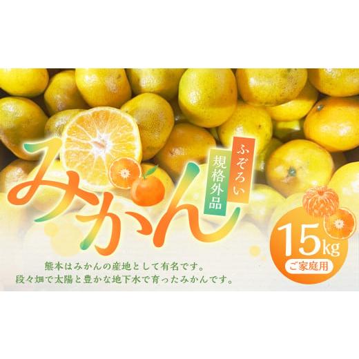 【ꕤ435】はるか『ご家庭用』熊本みかん（20kg） ふるさと納税 果物類 みかん 熊本県 熊本市 規格外品 熊本市産 ご家庭