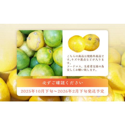 【ꕤ439】はるか『ご家庭用』熊本みかん（20kg） ふるさと納税 果物類 みかん 熊本県 熊本市 規格外品 熊本市産 ご家庭