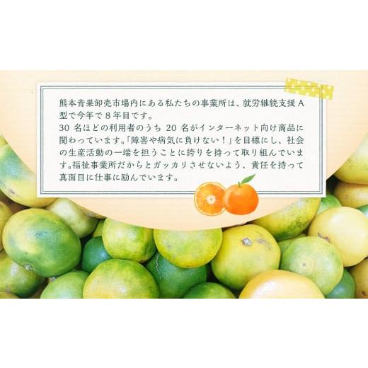 ふるさと納税 果物類 みかん 熊本県 熊本市 規格外品 熊本市産 ご家庭