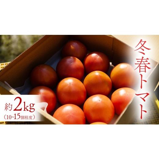 ふるさと納税 野菜類 トマト 広島県 大崎上島町 冬春トマト 完熟収穫 約2kg( 10〜15個 ) 甘い 濃厚 とまと 野菜 サラダ ギフト 贈答 西田農園 先行予約 数量限…