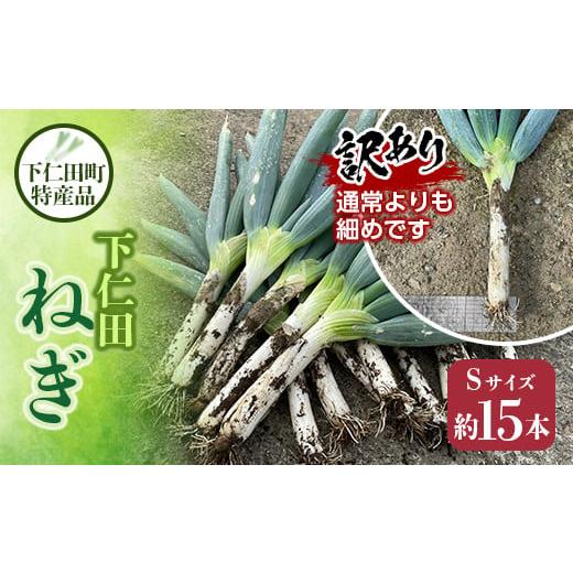 ふるさと納税 野菜類 ねぎ 群馬県 下仁田町 訳あり(家庭用)下仁田町特産「下仁田ねぎ」(Sサイズ 15本) とろける 甘い ねぎ ネギ 王様ねぎ 特産 栄養たっぷ…