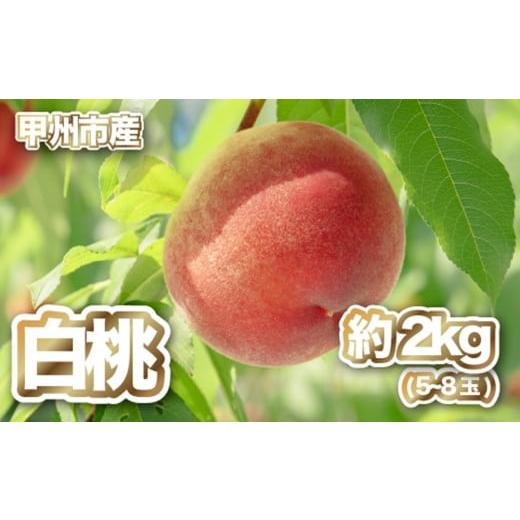 ふるさと納税 もも 山梨県 甲州市 産直 甲州市 白桃 約2kg 50年以上受継ぐ目利き力 2026年発送 (PJ)B15-166 白桃 桃 もも モモ 令和8年発送 期間限定 山梨…