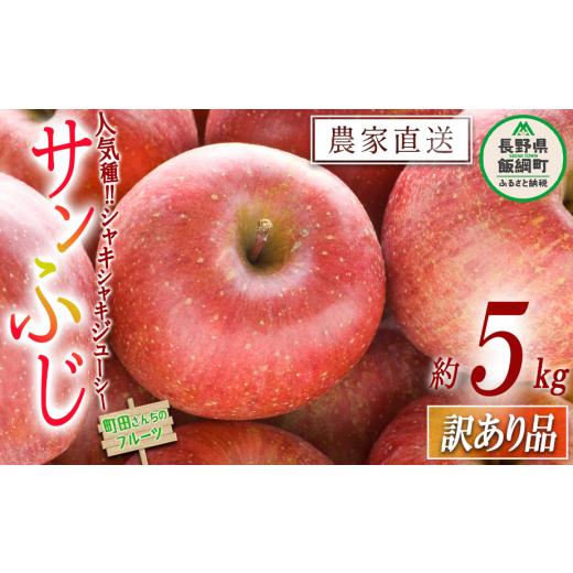 ふるさと納税 長野県 飯綱町 りんご サンふじ 訳あり 5kg 沖縄県への配送不可 2024年12月上旬頃から2025年2月上旬頃まで順次発送予定 町田さんちのりんご 長野…