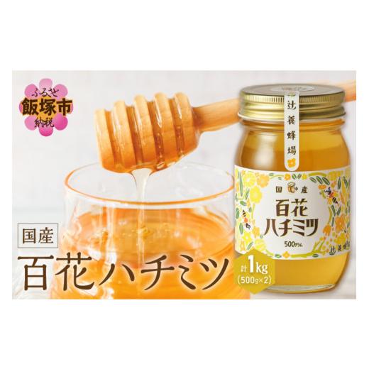 ふるさと納税 加工品等 はちみつ 福岡県 飯塚市 百花ハチミツ 500g×2 B6-020 蜂蜜 はちみつ 百花蜂蜜 辻養蜂場 福岡県 飯塚市 1キロ 1kgの画像