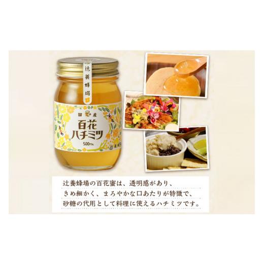 ふるさと納税 加工品等 はちみつ 福岡県 飯塚市 百花ハチミツ 500g×2 B6-020 蜂蜜 はちみつ 百花蜂蜜 辻養蜂場 福岡県 飯塚市 1キロ 1kgの画像