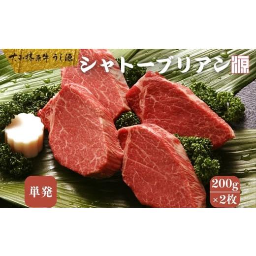 ふるさと納税 牛肉 ステーキ 奈良県 宇陀市 (冷凍) シャトーブリアン 200g×2枚 大和榛原牛 / A5 ギフト 部位 牛肉 黒毛和牛 和牛 焼肉 ステーキ 父の日 母の…