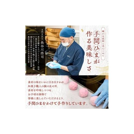 ふるさと納税 和菓子 和菓子セット・詰め合わせ 千葉県 南房総市 のし対応可能 いとを菓子 盛栄堂 南房総銘菓 さざえ最中12個入り mi0067-0004 モナカ 和菓…の画像