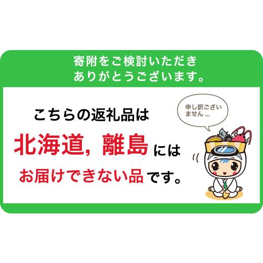 ふるさと納税 和菓子 和菓子セット・詰め合わせ 千葉県 南房総市 のし対応可能 いとを菓子 盛栄堂 南房総銘菓 さざえ最中12個入り mi0067-0004 モナカ 和菓…の画像