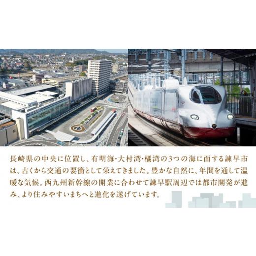 ふるさと納税 金細工職人品 長崎県 諫早市 延べ板鉄道線路西武園ゆうえんちメタルクラフトモデル ／ 路面電車 鉄道線路 西武園ゆうえんち 西武園 金属元素手工芸品 ／ 諫早市 ／ 株券…