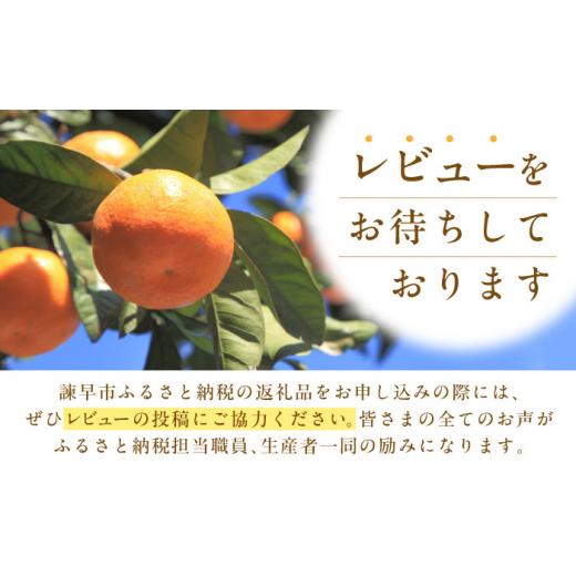 ふるさと納税 金細工職人品 長崎県 諫早市 延べ板鉄道線路西武園ゆうえんちメタルクラフトモデル ／ 路面電車 鉄道線路 西武園ゆうえんち 西武園 金属元素手工芸品 ／ 諫早市 ／ 株券…