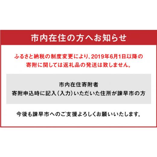 ふるさと納税 金細工職人品 長崎県 諫早市 延べ板鉄道線路西武園ゆうえんちメタルクラフトモデル ／ 路面電車 鉄道線路 西武園ゆうえんち 西武園 金属元素手工芸品 ／ 諫早市 ／ 株券…
