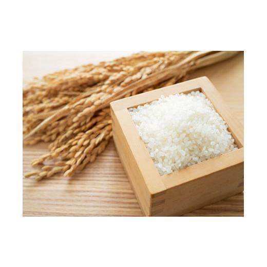 ふるさと納税 米 佐賀県 伊万里市 佐賀県産 ゆめしずく 白米4.5kg×3回定期便