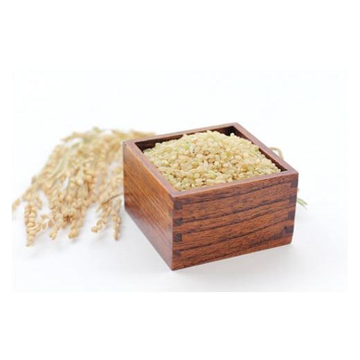 ふるさと納税 玄米 佐賀県 伊万里市 佐賀県産ゆめしずく(特A) 玄米5kg×3回定期便