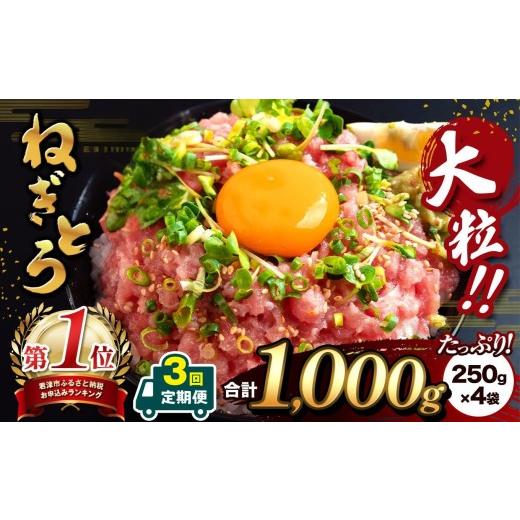 ふるさと納税 マグロ 千葉県 君津市 定期便 ・ 3ヶ月 清幸丸水産 大人気 ねぎとろ 1000g | ネギトロ とろ 鮪 海鮮 魚介 魚 人気 小分け 人気 定番 ご飯 オス…