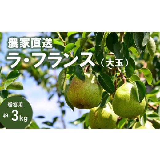 ふるさと納税 梨 長野県 松川町 KL05-25A 洋梨 ラ・フランス 大玉 約3kg(5〜8玉) 贈答/10月中旬頃 発送 // 長野県 南信州 松川町 ギフト 洋梨 洋ナシ 洋…