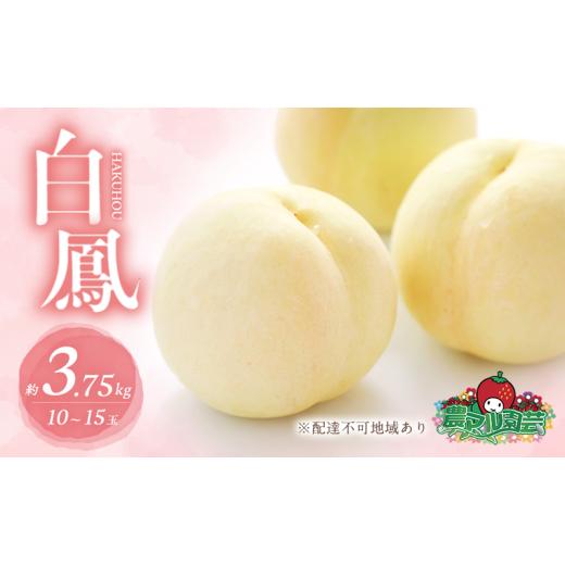 ふるさと納税 もも 岡山県 赤磐市 桃 2026年 先んずる取って置く 白桃 白鳳 約3.75kg 10〜15玉 差し上げ物用 もも 桃 フルーツ 果物 岡山 赤磐市産 農マル園芸 あかいわ栽培所 …