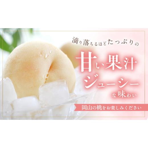 ふるさと納税 もも 岡山県 赤磐市 桃 2026年 先んずる取って置く 白桃 白鳳 約3.75kg 10〜15玉 差し上げ物用 もも 桃 フルーツ 果物 岡山 赤磐市産 農マル園芸 あかいわ栽培所 …