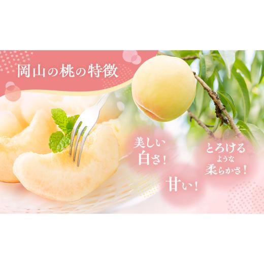 ふるさと納税 もも 岡山県 赤磐市 桃 2026年 先んずる取って置く 白桃 白鳳 約3.75kg 10〜15玉 差し上げ物用 もも 桃 フルーツ 果物 岡山 赤磐市産 農マル園芸 あかいわ栽培所 …