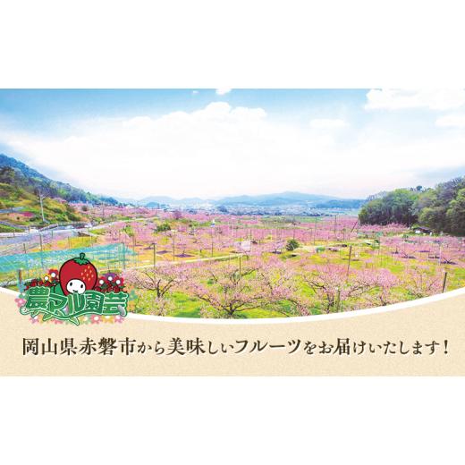 ふるさと納税 もも 岡山県 赤磐市 桃 2026年 先んずる取って置く 白桃 白鳳 約3.75kg 10〜15玉 差し上げ物用 もも 桃 フルーツ 果物 岡山 赤磐市産 農マル園芸 あかいわ栽培所 …