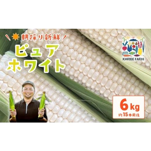 ふるさと納税 とうもろこし 茨城県 下妻市 先行予約 下妻産朝採りとうもろこし 約6kg ( ピュアホワイト ) 先行予約:2026年6月下旬〜順次発送予定 とうもろ…