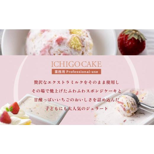 ふるさと納税 菓子 アイス 北海道 別海町  毎月定期便 THE ICE 業務用１リットル いちごケーキ ×12ヵ月定期便 be003-1076-100-12 ( アイス あいす アイスクリ…_6