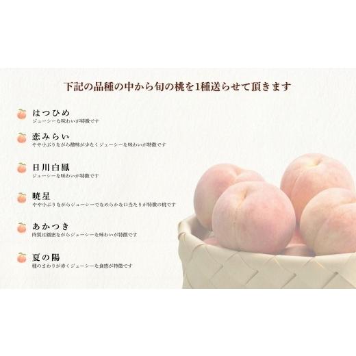 ふるさと納税 もも 福島県 福島市 No.1757もも 7月収穫の桃 品種お任せ 約2kg 2026年発送 先行予約の画像
