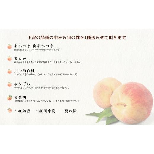 ふるさと納税 もも 福島県 福島市 No.1758もも 8月収穫の桃 品種お任せ 約2kg 2026年発送 先行予約の画像