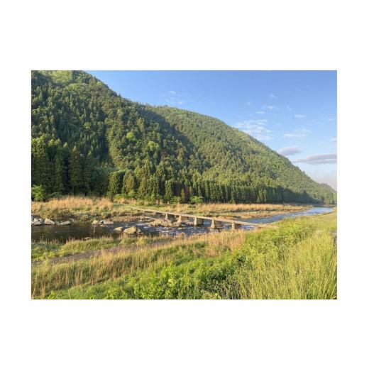 ふるさと納税 加工品等 納豆 京都府 京都市  山国さきがけセンター 京都発・納豆で元気いっぱい免疫力UPの画像