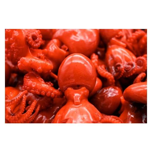 タコ imgrc0076412124.jpg