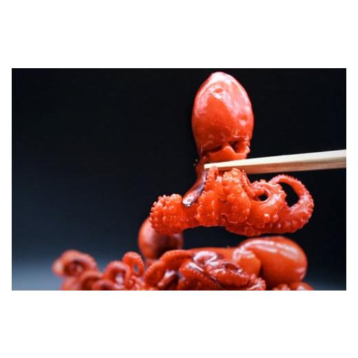 たこへちろー② ふるさと納税 タコ 茨城県 大洗町 味付けチビたこ からし風味 800g 2