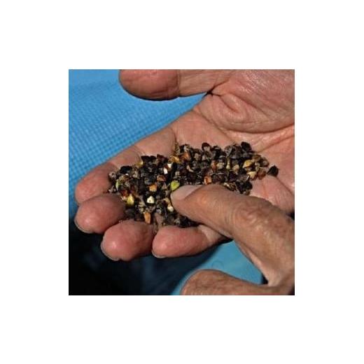 ふるさと納税 長野県 松本市 そば 生麺 セット ( 250g × 2セット ) 小昼堂 