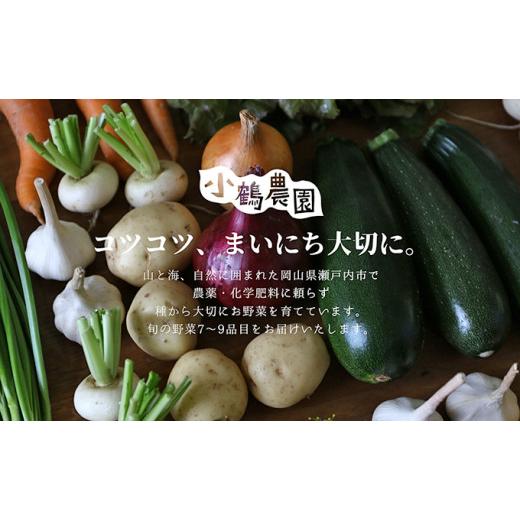 ふるさと納税 セット・詰合せ 岡山県 瀬戸内市 小鶴農園 季節のお野菜5〜7品目セット（農薬・化学肥料不使用） 配達不可：北海道・沖縄・離島 No.5735-1047の画像