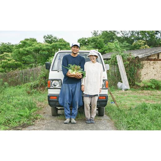ふるさと納税 セット・詰合せ 岡山県 瀬戸内市 小鶴農園 季節のお野菜5〜7品目セット（農薬・化学肥料不使用） 配達不可：北海道・沖縄・離島 No.5735-1047の画像